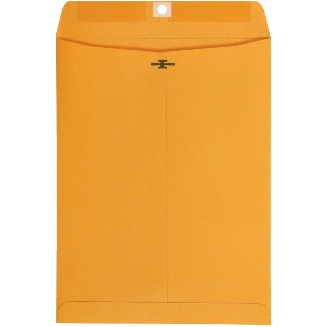 Image of Business Source 35269 Self-Seal Catalog Envelopes, Catalog, 9" W x 12" Length, Self-adhesive Seal, Kraft, Kraft Paper, 250 / Carton