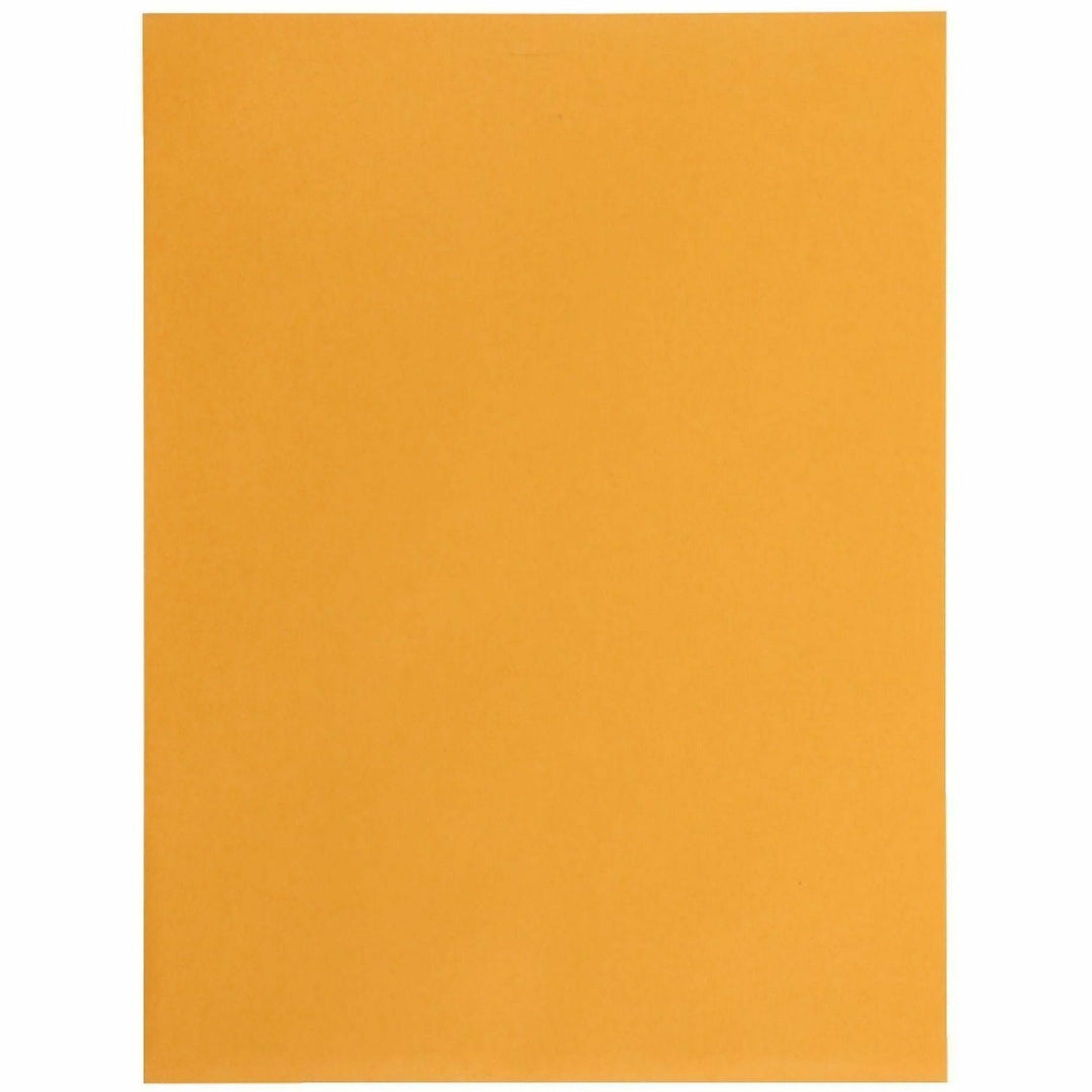 Image of Business Source 35269 Self-Seal Catalog Envelopes, Catalog, 9" W x 12" Length, Self-adhesive Seal, Kraft, Kraft Paper, 250 / Carton