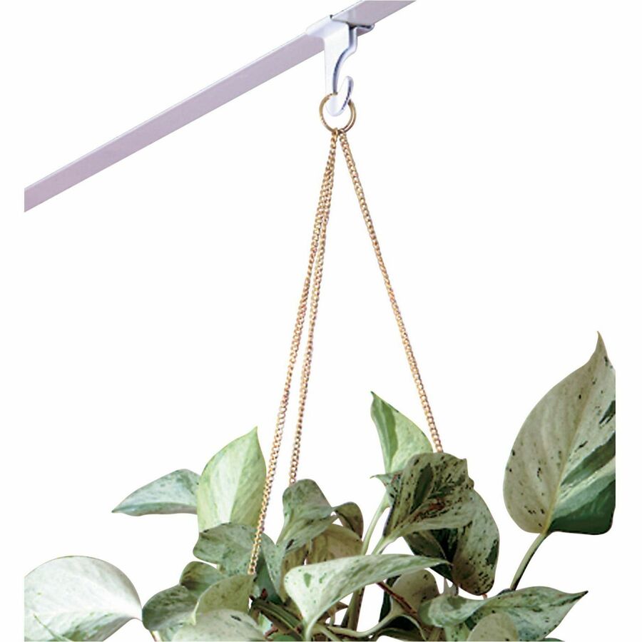 Image of Baumgartens® Suspended Ceiling Hooks, 2" Long, 2/PK, White