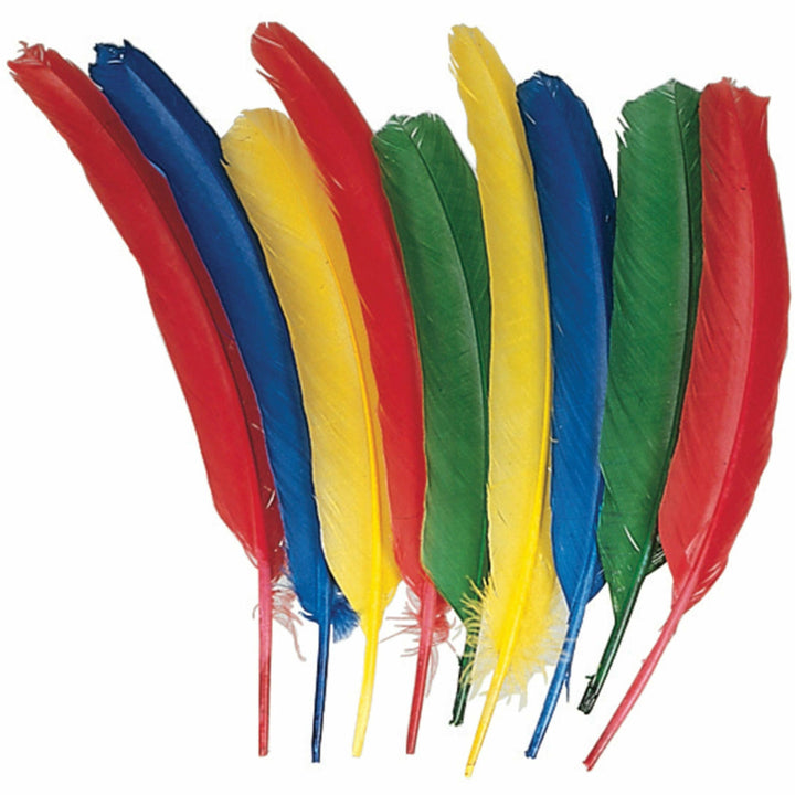 Image of Pacon® Quill Feathers, 12"L, 24/PK, Blue/Red/Green/Yellow