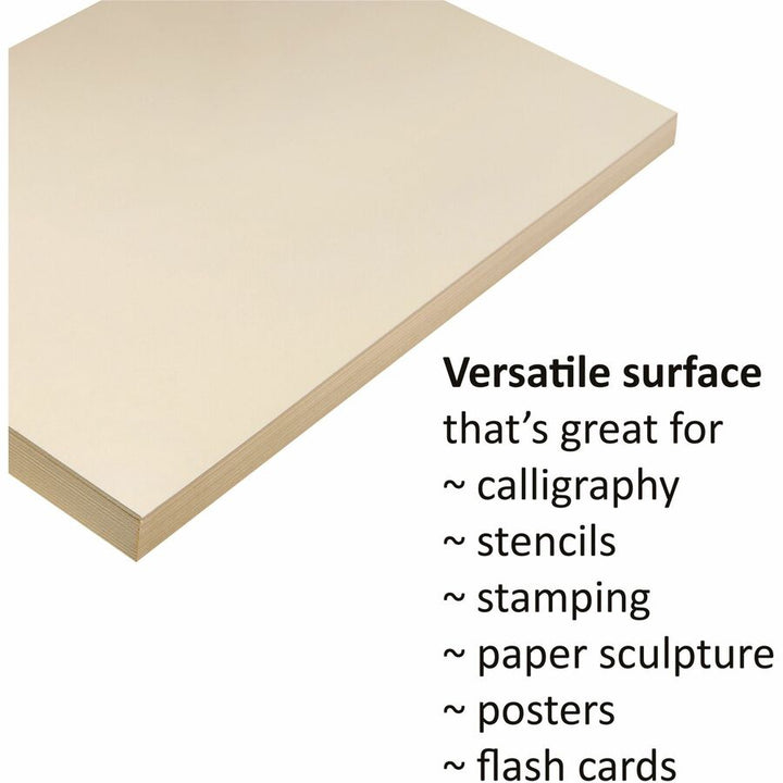 Image of Pacon® Tagboard, Heavyweight, 18"x24", 100 SH/PK, Manila