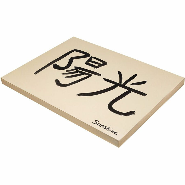 Image of Pacon® Tagboard, Heavyweight, 18"x24", 100 SH/PK, Manila