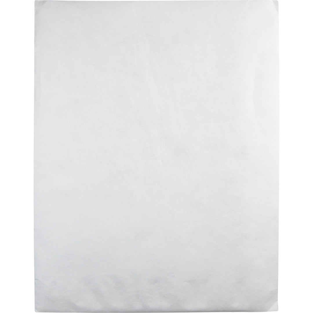 Image of Survivor® Heavyweight 18 lb Tyvek Catalog Mailers, Square Flap, Redi-Strip Adhesive Closure, 18 x 23, White, 25/Box