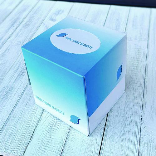 Image of GEN GEN852E Facial Tissue Cube Box, 2-Ply, White, 85 Sheets/box, 36 Boxes/carton