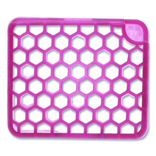 Image of Fresh Products MYFF006I036M01 myfresh Refill, Spiced Apple, 6/Box