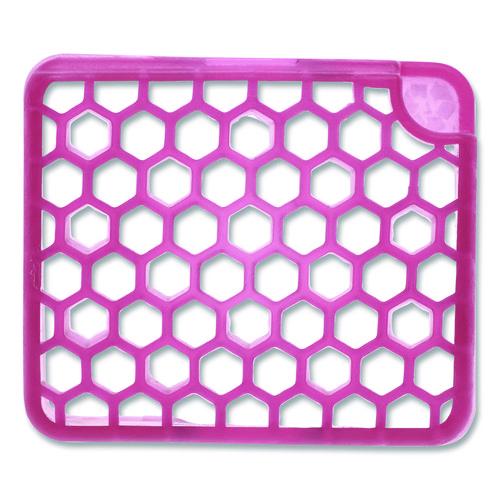 Image of Fresh Products MYFF006I036M01 myfresh Refill, Spiced Apple, 36/Carton