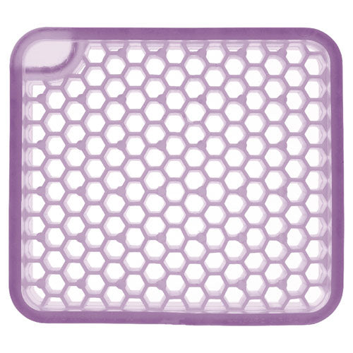 Image of Fresh Products OFENB-F-006I036M-78 Ourfreshe Refills, Morning Lavender, 6/box, 6 Boxes/carton