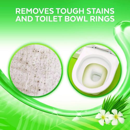Image of LYSOL® Brand 19200-98015 Cling and Fresh Toilet Bowl Cleaner, Forest Rain Scent, 24 oz, 2/Pack