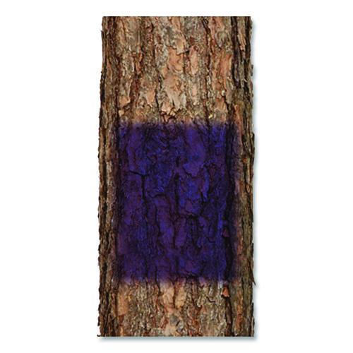 Image of Rust-Oleum® 270970 Specialty No Hunting Purple Spray Paint, Flat No Hunting Purple, 12 oz Aerosol Can, 6/Carton