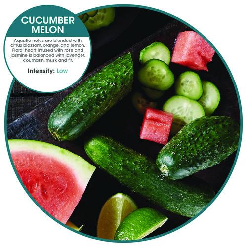 Image of Fresh Products OFB-F-008I008I-02 Ourfresh Airfreshener, Cucumber Melon, 8/box