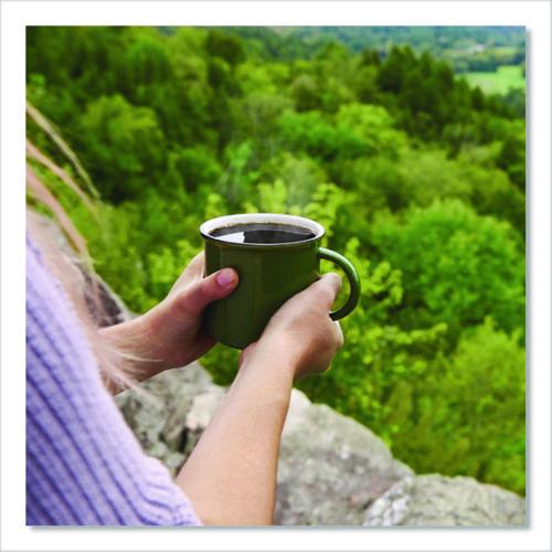 Image of Green Mountain Coffee® 5000364509 French Vanilla Coffee Fraction Packs, 2.2 Oz, 50/carton