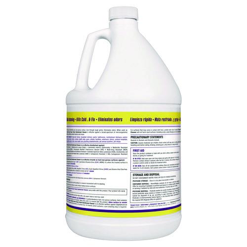Image of Simple Green® 2810000401128 Clean Finish Disinfectant Cleaner, 1 Gal Bottle, Herbal