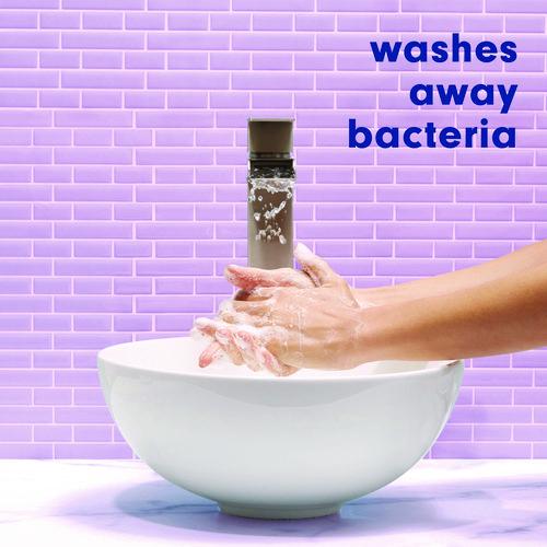 Image of Softsoap® US03574A Antibacterial Hand Soap, White Tea and Berry Fusion Scent, 11.25 oz