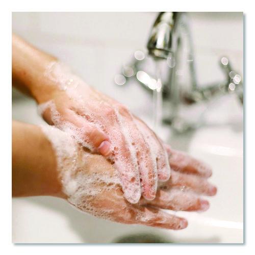 Image of Dial® Professional 98561 Antibacterial Gold Liquid Hand Soap Refill for Versa Dispenser, Floral Scent, 15 oz, 6/Carton