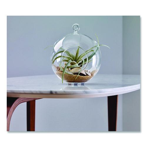 Image of ScotchÂ® Bumpers, 0.5" dia, Clear, 40/Pack