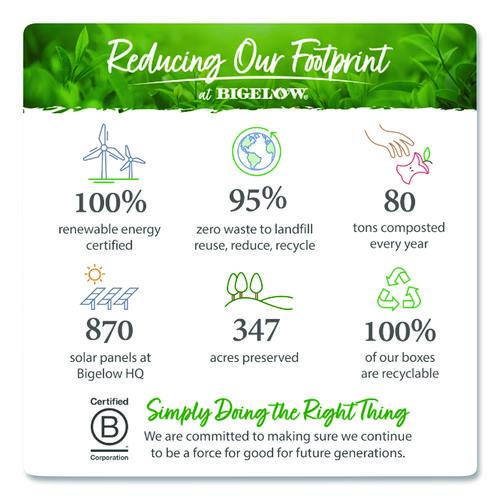 Image of Bigelow® RCB00388 Single Flavor Tea, Green, 28 Bags/box