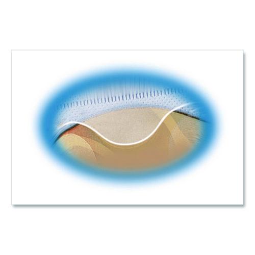 Image of Avery® 75263 Two-Sided CD Organizer Sheets for Three-Ring Binder, 4 Disc Capacity, Clear, 5/Pack