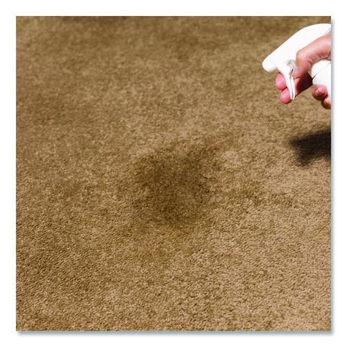 Image of Rust-Oleum® 352258 Professional Carpet Stain Remover Plus Deodorizer, Lemon Scent, 32 oz Spray Bottle, 6/Carton