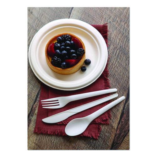 Image of Eco-Products® EP-S013 Plantware Compostable Cutlery, Spoon, Plastic, Pearl White, 50/Pack, 20 Pack/Carton