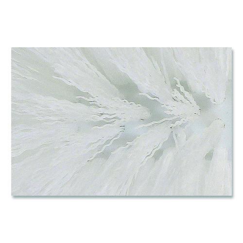 Image of Boardwalk® 96301-BWK Spiral Bowl Brush, 13" Handle, White