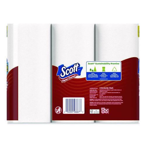 Image of Scott®  