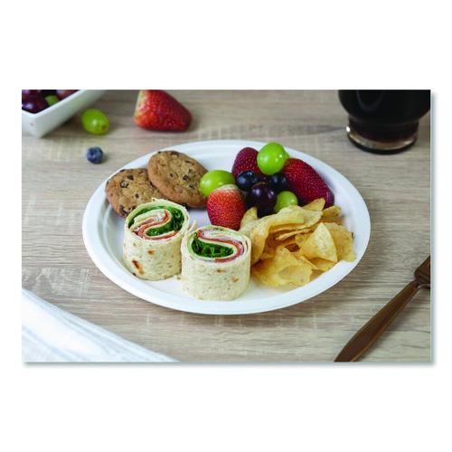 Image of SCT® 18140WPF ChampWare Molded Fiber Tableware, Molded Fiber Plate, 9" dia, White, 125 Plates/Sleeve, 4 Sleeves/Carton