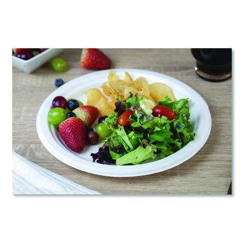 Image of SCT® 18160WPF ChampWare Molded Fiber Tableware, Molded Fiber Plate, 10" dia, White, 125 Plates/Sleeve, 4 Sleeves/Carton