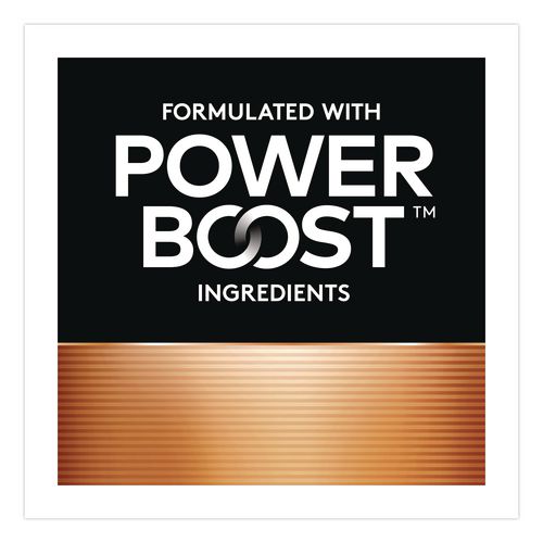 Image of Duracell® MN1500B240001 Power Boost Copper Top Alkaline AA Batteries, 24/Pack