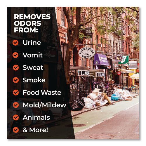 Image of Simple Green® 0710101204032 Pro Odor Control Ready-To-Use, Herbal, 32 oz Spray Bottle, 12/Carton