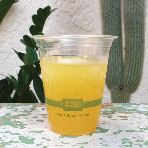 Image of World Centric® CPCS12 PLA Clear Cold Cups, 12 oz, Plastic, Clear, 1,000/Carton