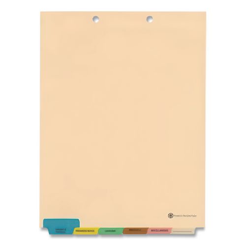 Image of Medical Arts Press® 33157 6-Tab Medical Chart Indexes, Bottom Tab, Assorted Medical, Manila, 65/Box