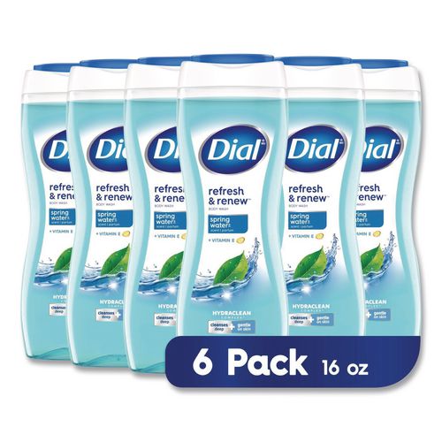 Image of Dial® 17000 02653 Body Wash, Spring Water Scent, 16 oz, 6/Carton