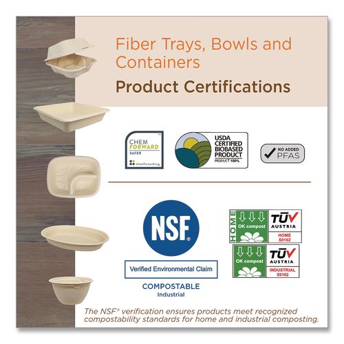 Image of World Centric® Fiber Plates, Paper, 10.1" dia, Natural, 800/Carton