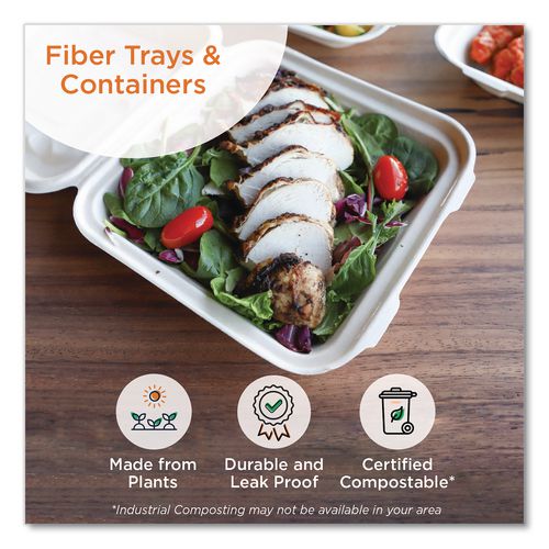 Image of World Centric® TO-SC-U15B-LFP Fiber Hinged Takeout Containers, Burger Box, 6.5 x 6 x 3.2, Natural, Paper, 500/Carton