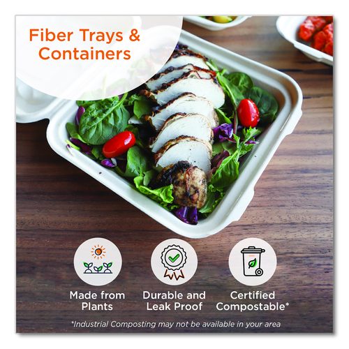 Image of World Centric® Fiber Hinged Takeout Containers, Burger Box, 6.5 x 6 x 3.2, Natural, Paper, 500/Carton