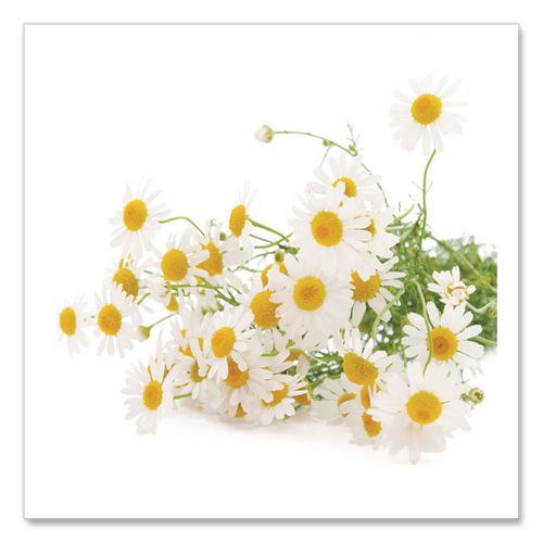 Image of Bigelow® RCB10401 Single Flavor Tea, Cozy Chamomile, 28 Bags/box