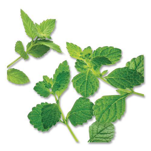 Image of Bigelow® RCB003931 Mint Medley Herbal Tea, 28/box