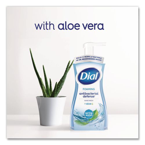 Image of DialÂ® Antibacterial Foaming Hand Wash, Spring Water Scent, 10 oz, 8/Carton