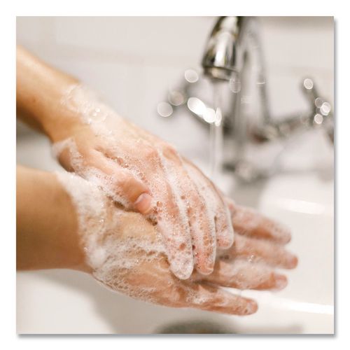 Image of Dial® Professional 82839 Antibacterial Liquid Hand Soap for Sensitive Skin Refill for 1 L Liquid Dispenser, Light Floral Scent, 1 L, 8/Carton