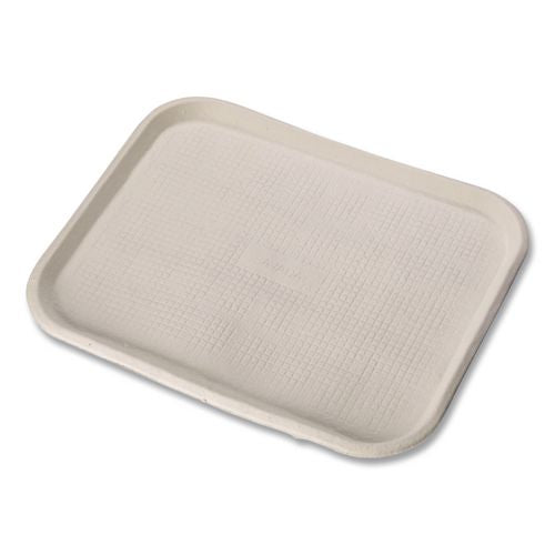 Image of Chinet® 20803 Savaday Molded Fiber Flat Food Tray, 16 x 12, White, Paper, 200/Carton
