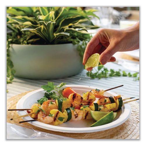 Image of Chinet® 21232 Classic Paper Dinnerware, Plate, 9.75" Dia, White, 125/pack, 4 Packs/carton