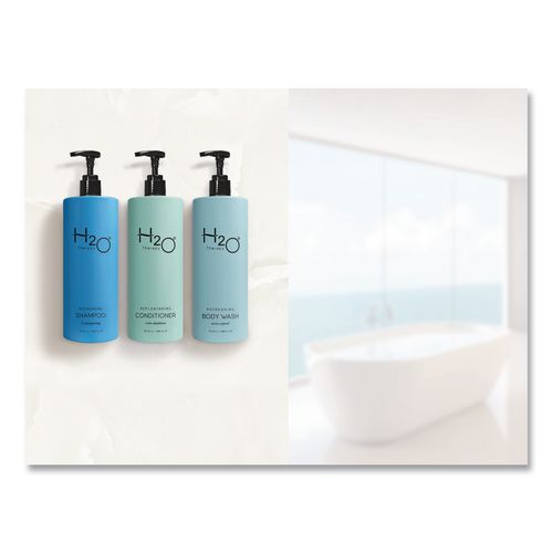 Image of Diversified Hospitality Solutions AIR07-H20-W480 H2O Therapy Body Wash Air Pump, White Tea and Lemongrass Scent, 16.23 oz Bottle, 12/Carton
