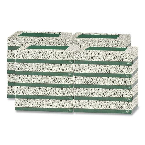 Image of Floral SoftÂ® White Facial Tissue, 2-Ply, 100 Sheets/Box, 30 Boxes/Carton