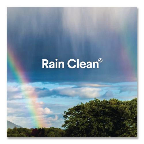 Image of Clorox® CLO30197 Clean-Up Multi-Surface Cleaner with Bleach, 32 oz Spray Bottle, Rain Clean Scent, 9/Carton