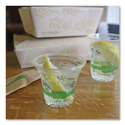 Image of World Centric® CP-CS-5 PLA Clear Cold Cups, 5 oz, Plastic, Clear, 2,000/Carton