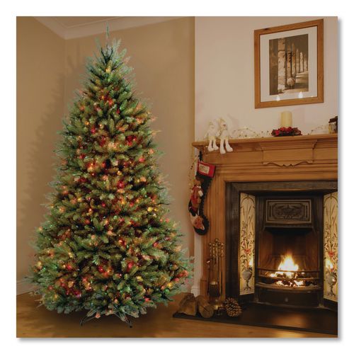 Image of National Tree Company® DUH75RLO Pre-Lit Dunhill Fir Tree, 59" x 59" x 90", Green Tree, Green Tree Stand