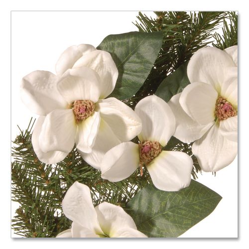 Image of National Tree Company® NRV71324W North Valley Spruce Magnolia Wreath, 24" Diameter x 3.5"h, White