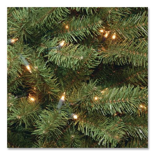 Image of National Tree Company® NRV735865 Pre-Lit North Valley Spruce Pencil Slim Tree, 30" x 30" x 78", Green Tree, Green Tree Stand