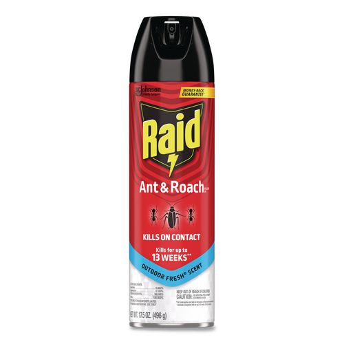 Image of Raid® 366000 Ant and Roach Killer, 17.5 oz Aerosol Spray, Outdoor Fresh