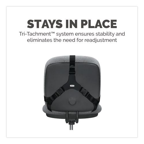 Image of Fellowes® 8037601 Professional Series Back Support With Microban Protection, 15 X 2 X 14.5, Black